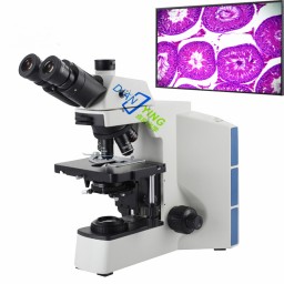 DYS-40研究型生物显微镜