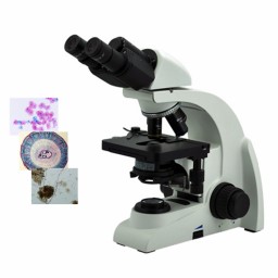 DYS-325高档双目生物显微镜
