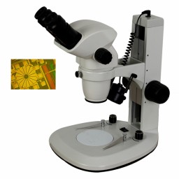 双目立体显微镜ZOOM-590