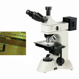 微分干涉显微镜-DIC-950