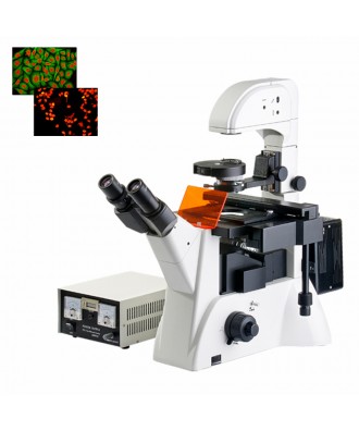 研究级倒置荧光显微镜DYF-880