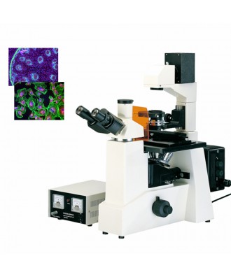 高品质倒置荧光显微镜DYF-850