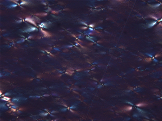上海点应光学拍摄的塑料薄膜晶体显微图