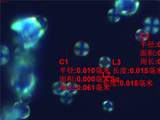 上海点应光学拍摄的淀粉十字线