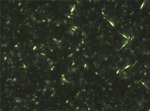 石蜡显微镜图片500X