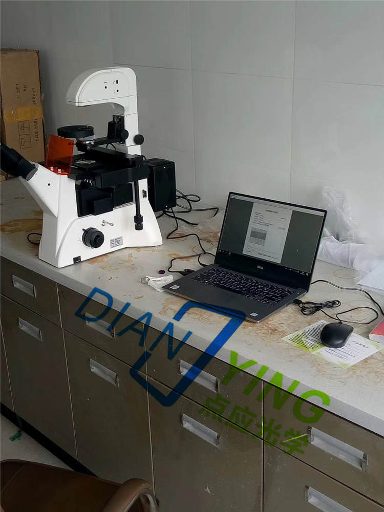 倒置荧光显微镜DYF-880C