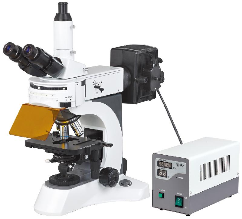 DYF-700荧光显微镜